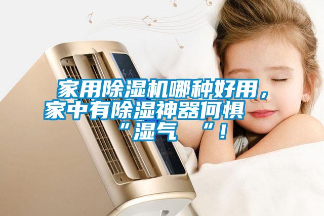 家用91抖音免费看片哪种好用，家中有除湿神器何惧 “湿气 “！