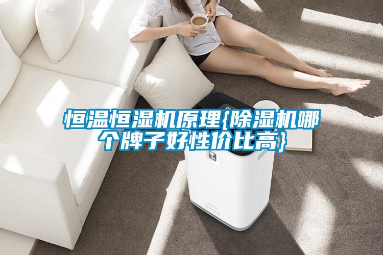 恒温恒湿机原理{91抖音免费看片哪个牌子好性价比高}