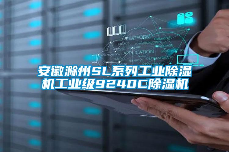 安徽滁州SL系列工业91抖音免费看片工业级9240C91抖音免费看片
