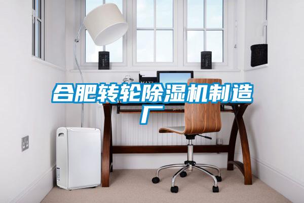 合肥转轮91抖音免费看片制造厂