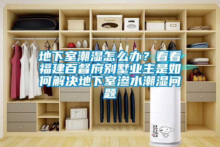 地下室潮湿怎么办？看看福建百督府别墅业主是如何解决地下室渗水潮湿问题