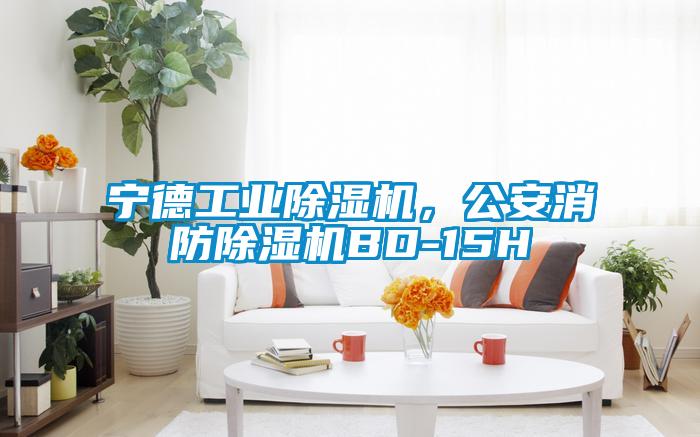 宁德工业91抖音免费看片，公安消防91抖音免费看片BD-15H