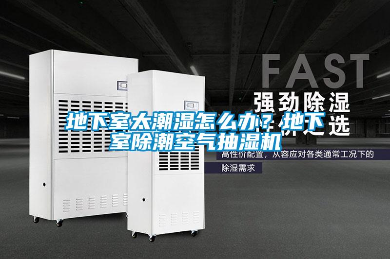 地下室太潮湿怎么办？地下室除潮空气抽湿机