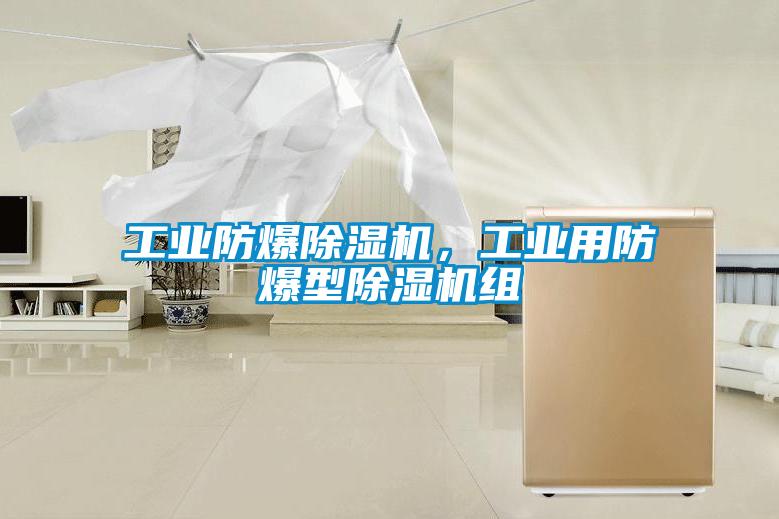 工业防爆91抖音免费看片，工业用防爆型91抖音免费看片组