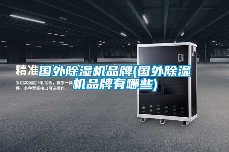 国外91抖音免费看片品牌(国外91抖音免费看片品牌有哪些)