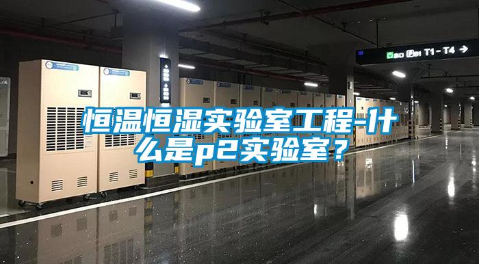 恒温恒湿实验室工程-什么是p2实验室？