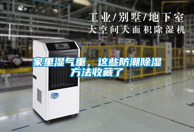 家里湿气重，这些防潮除湿方法收藏了