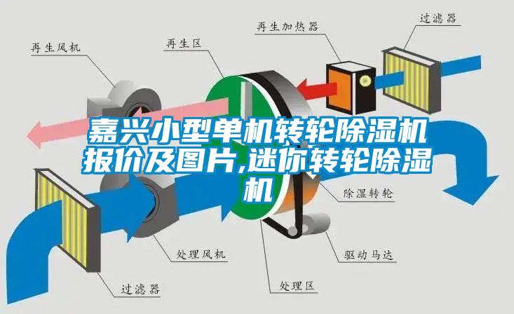 嘉兴小型单机转轮91抖音免费看片报价及图片,迷你转轮91抖音免费看片