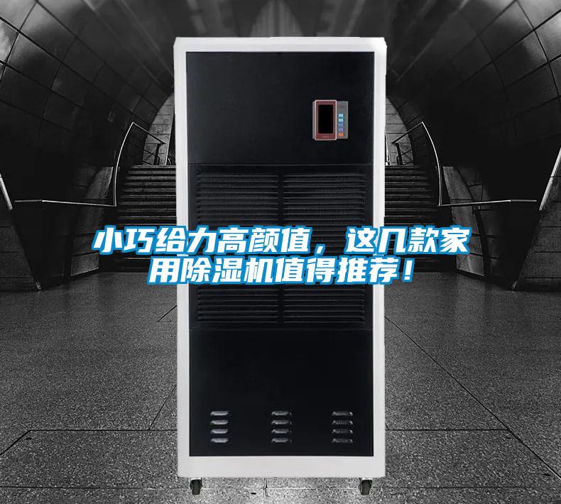 小巧给力高颜值，这几款家用91抖音免费看片值得推荐！