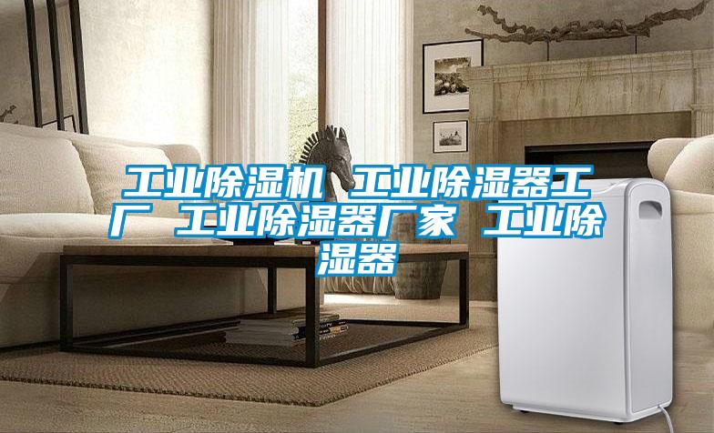工业91抖音免费看片 工业除湿器工厂 工业除湿器厂家 工业除湿器