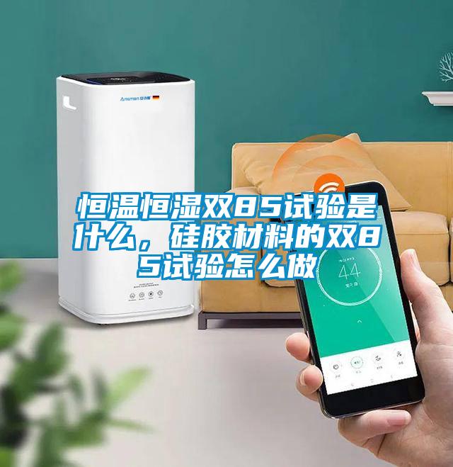 恒温恒湿双85试验是什么，硅胶材料的双85试验怎么做