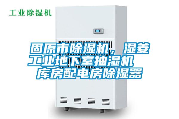 固原市91抖音免费看片，湿菱工业地下室抽湿机  库房配电房除湿器