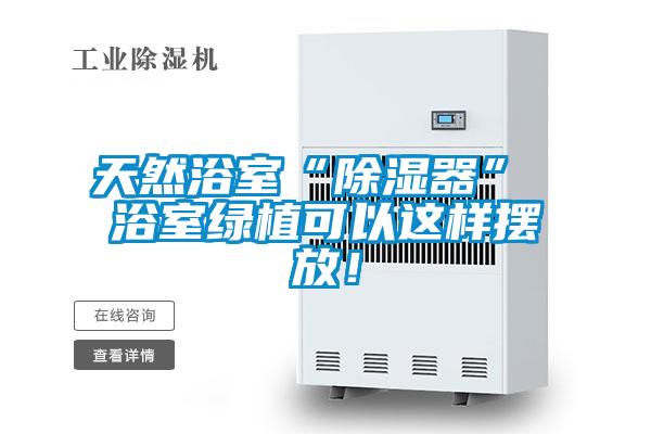 天然浴室“除湿器” 浴室绿植可以这样摆放！