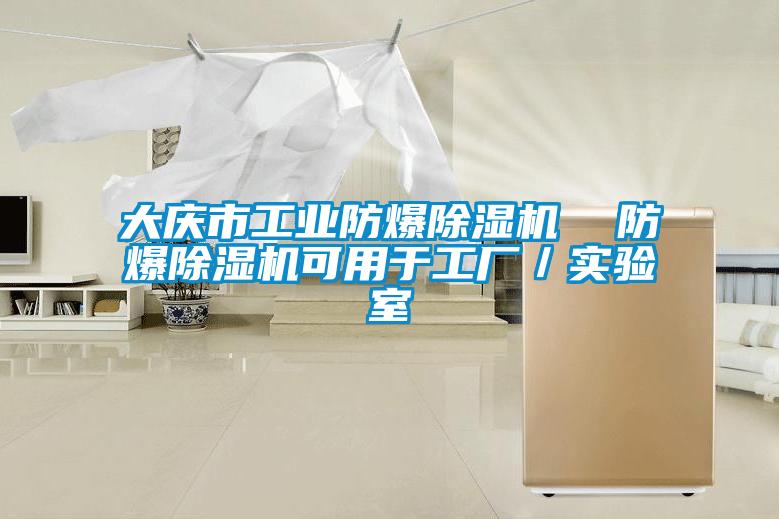 大庆市工业防爆91抖音免费看片  防爆91抖音免费看片可用于工厂／实验室