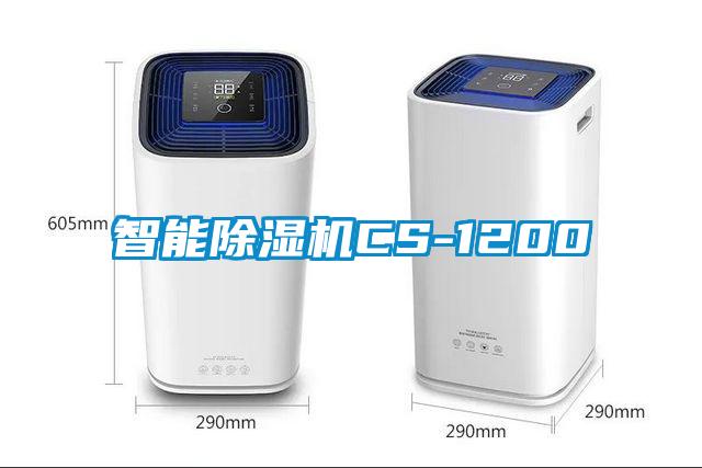 智能91抖音免费看片CS-1200