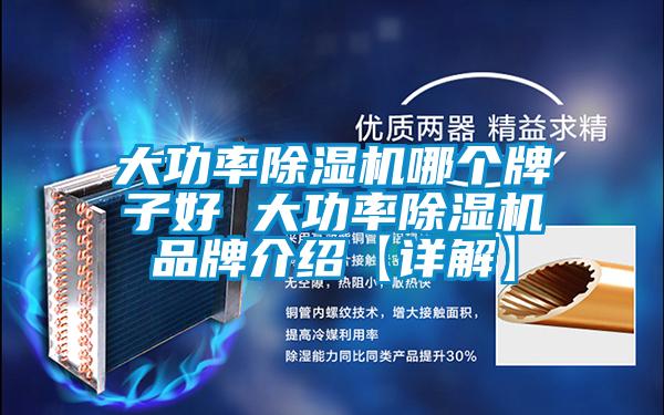 大功率91抖音免费看片哪个牌子好 大功率91抖音免费看片品牌介绍【详解】
