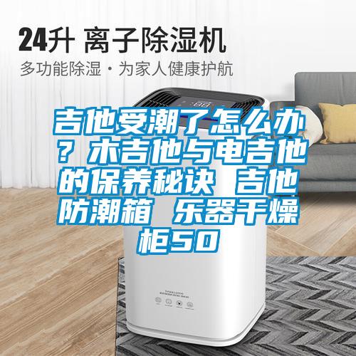 吉他受潮了怎么办？木吉他与电吉他的保养秘诀 吉他防潮箱 乐器干燥柜50