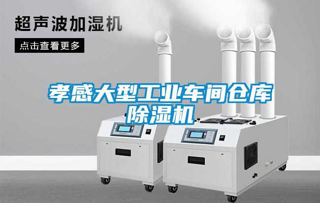 孝感大型工业车间仓库91抖音免费看片