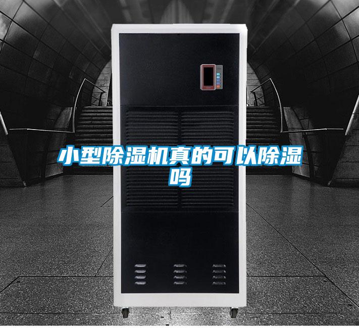小型91抖音免费看片真的可以除湿吗