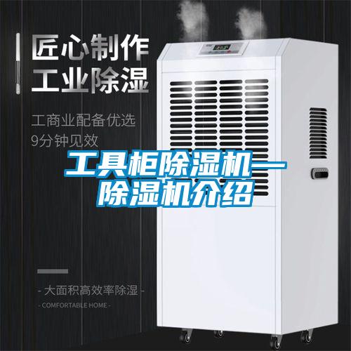 工具柜91抖音免费看片—91抖音免费看片介绍