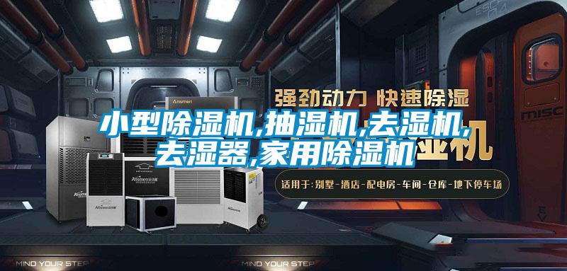 小型91抖音免费看片,抽湿机,去湿机,去湿器,家用91抖音免费看片
