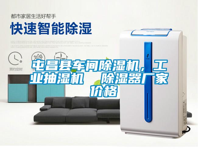 屯昌县车间91抖音免费看片，工业抽湿机  除湿器厂家 价格