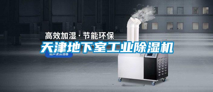 天津地下室工业91抖音免费看片