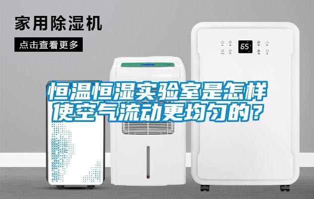 恒温恒湿实验室是怎样使空气流动更均匀的？