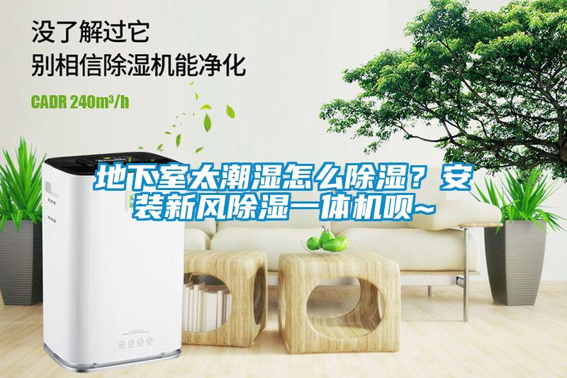 地下室太潮湿怎么除湿？安装新风除湿一体机呗~