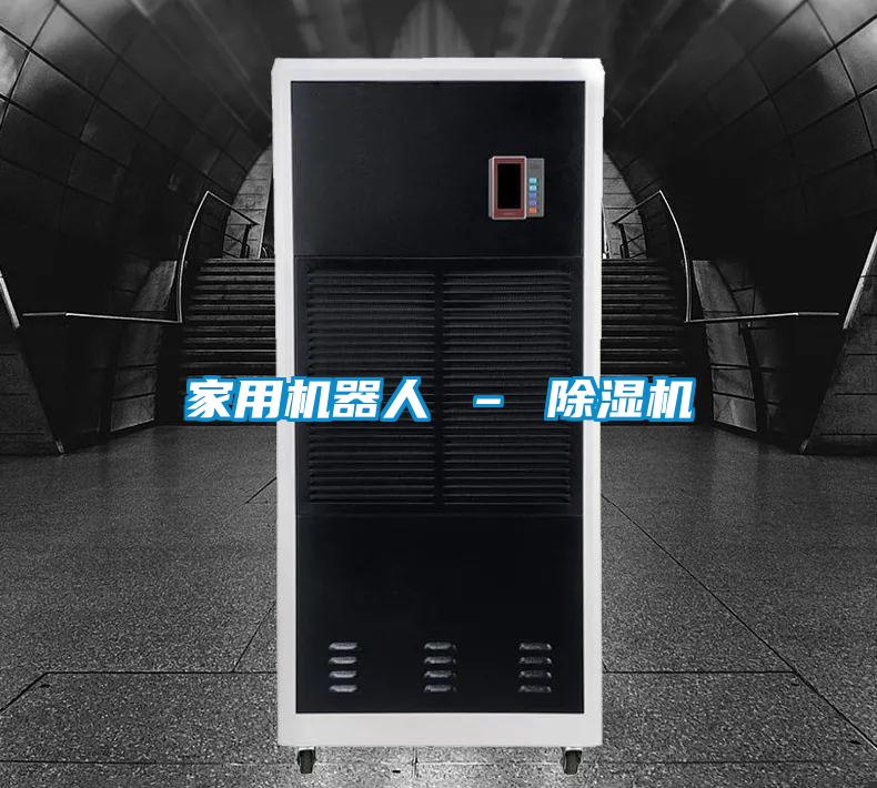 家用机器人 – 91抖音免费看片