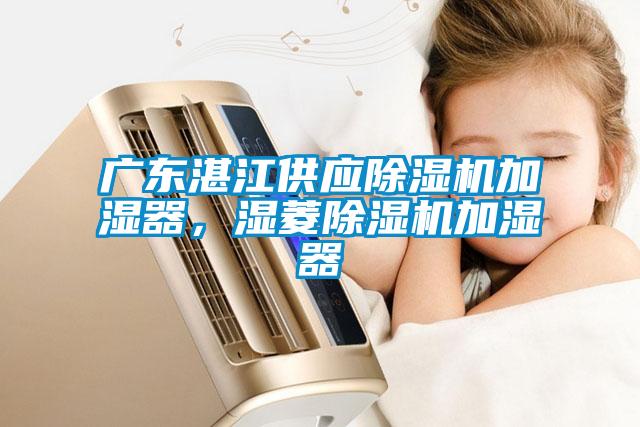 广东湛江供应91抖音免费看片加湿器，湿菱91抖音免费看片加湿器