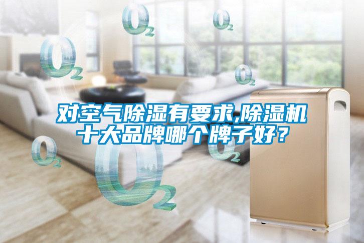 对空气除湿有要求,91抖音免费看片十大品牌哪个牌子好？