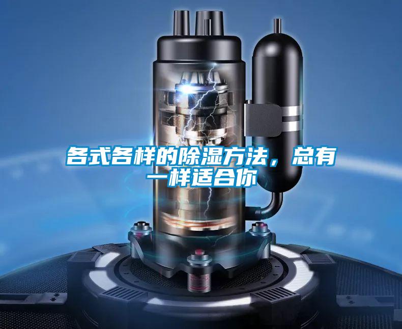 各式各样的除湿方法，总有一样适合你