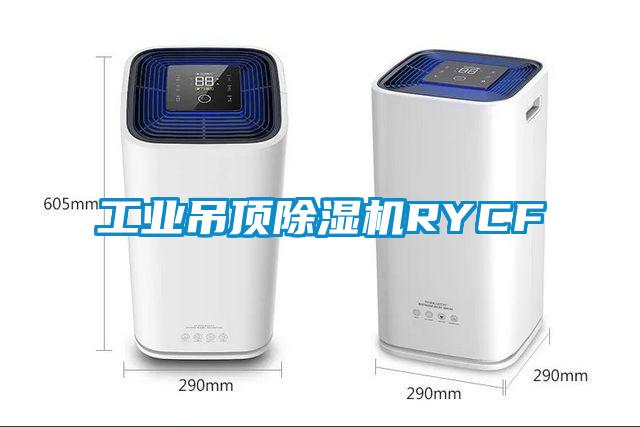 工业吊顶91抖音免费看片RYCF