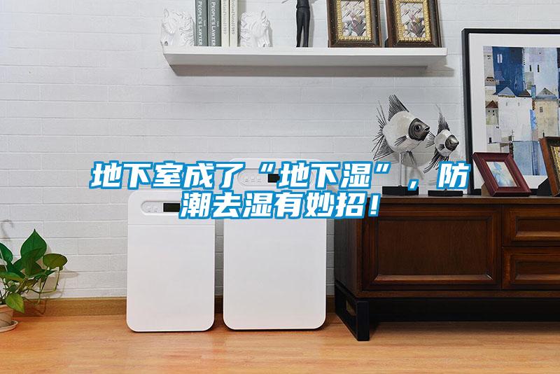 地下室成了“地下湿”，防潮去湿有妙招！