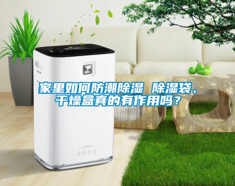家里如何防潮除湿 除湿袋、干燥盒真的有作用吗？