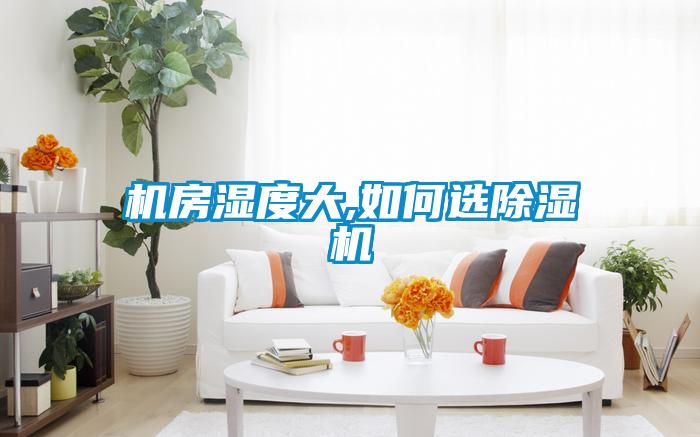 机房湿度大,如何选91抖音免费看片