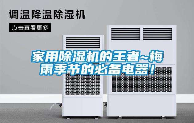 家用91抖音免费看片的王者~梅雨季节的必备电器！