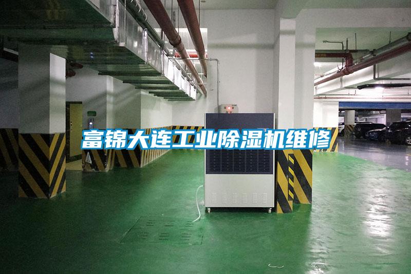 富锦大连工业91抖音免费看片维修