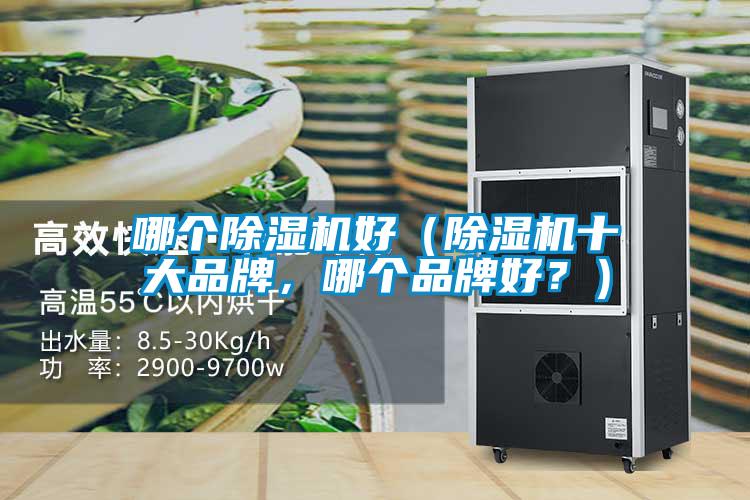 哪个91抖音免费看片好（91抖音免费看片十大品牌，哪个品牌好？）