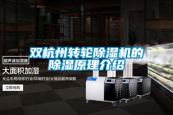 双杭州转轮91抖音免费看片的除湿原理介绍