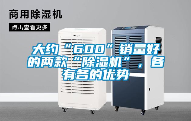 大约“600”销量好的两款“91抖音免费看片”，各有各的优势