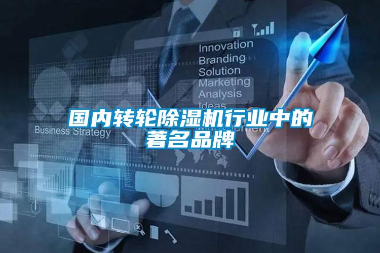 国内转轮91抖音免费看片行业中的著名品牌