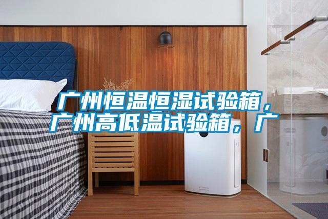 广州恒温恒湿试验箱，广州高低温试验箱，广