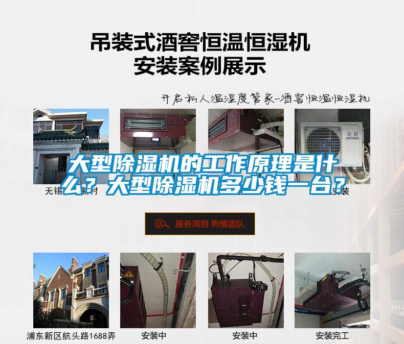 大型91抖音免费看片的工作原理是什么？大型91抖音免费看片多少钱一台？