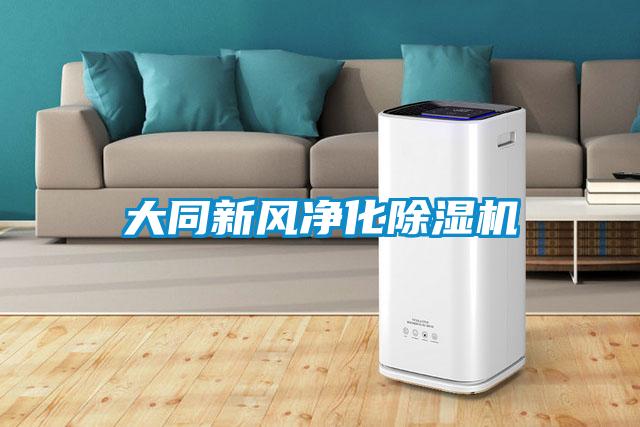 大同新风净化91抖音免费看片