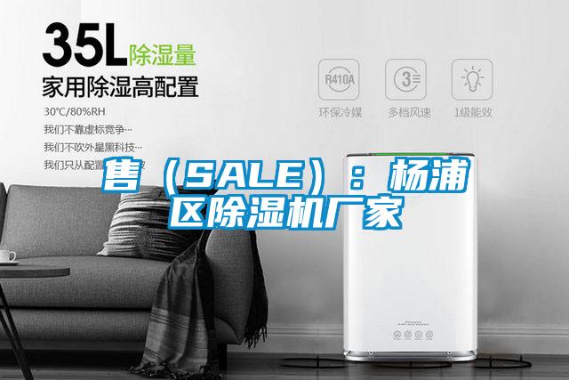 售（SALE）：杨浦区91抖音免费看片厂家