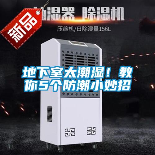 地下室太潮湿！教你5个防潮小妙招
