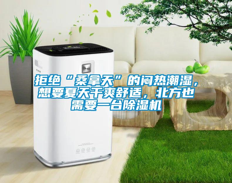 拒绝“桑拿天”的闷热潮湿，想要夏天干爽舒适，北方也需要一台91抖音免费看片
