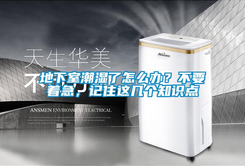 地下室潮湿了怎么办？不要着急，记住这几个知识点